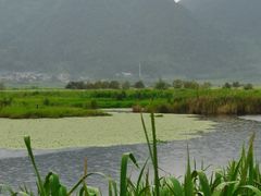 -腾冲北海湿地