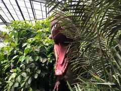 -北京呀路古热带植物园
