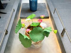 -单家老院·院子里的青岛菜(沙子口店)
