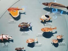 -中国湿地博物馆