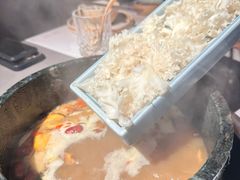 -蘑界·野生菌火锅(深业上城店)