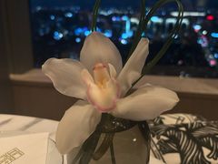 -悦厅·下午茶(杭州柏悦酒店)