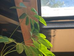 -VOYAGE COFFEE(北锣鼓巷店)