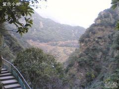 -宁波五龙潭景区