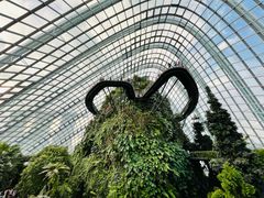-新加坡植物园