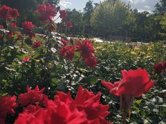 -廊坊文化艺术中心