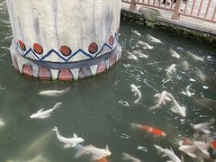 -南宫五洲植物乐园