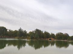 -金塔沙漠胡杨林景区
