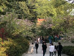 -南山植物园