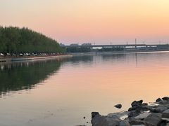 -丁香湖公园