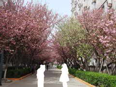 -西安交通大学(雁塔校区)