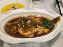-肆月河豚·新淮扬(金融街店)