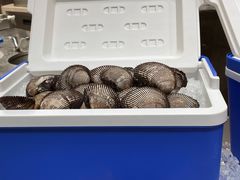 -怡咖啡自助餐(宁波香格里拉店)