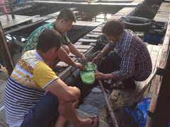 -海上驿站渔家菜馆