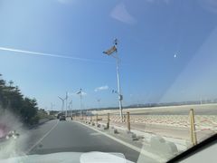 -长江澳风力发电景观区