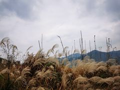 -东钱湖旅游度假区