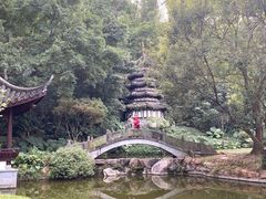 -深圳国际园林花卉博览园