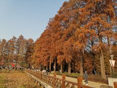 -东湖磨山景区