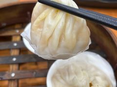 -莱莱小笼·乔艾