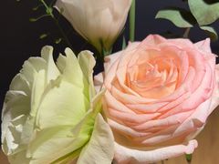 -cocopai可可派·City(步步高新天地店)