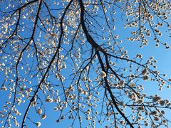 -吉林大学(南岭校区)