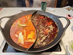 -新辣道鱼火锅(龙旗广场店)
