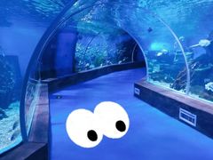 -石林冰雪海洋世界