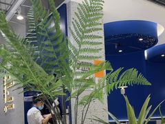 -兰湘子·湘菜小炒(崂山丽达店)