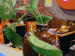 -杨记齐齐哈尔烤肉(逸仙路店)