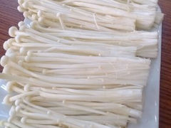android_upload_pic-伊兰津范儿