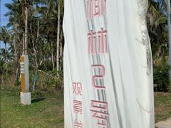 -东郊椰林