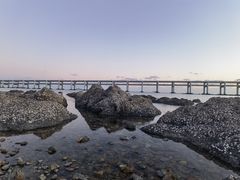 -星海湾跨海大桥