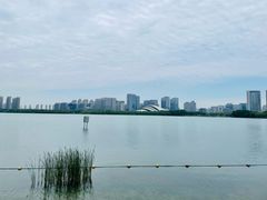 -天鹅湖体育公园