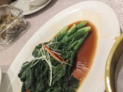 -新南华大酒店(广中店)