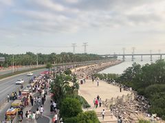 -宝安西湾红树林湿地公园