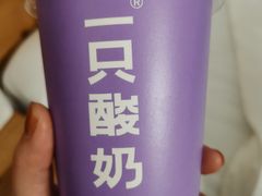 -一只酸奶牛(八一路店)
