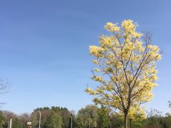 -太阳宫公园