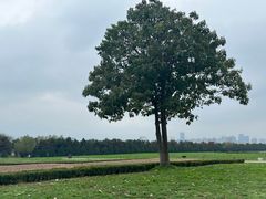 -汉长安城未央宫国家考古遗址公园