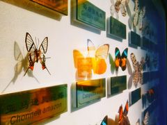 -上海昆虫博物馆