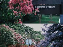 -杭州城北体育公园