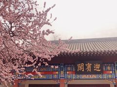 -桃花堤公园
