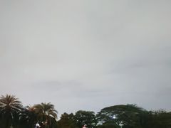 -荔香公园