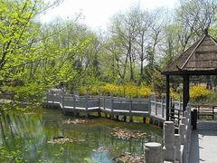 -金孔雀温泉旅游度假村