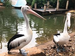 -费瑟代尔野生动物园