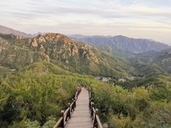 -大岭沟猕猴桃谷风景区
