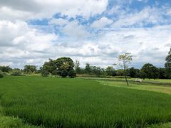 -良渚古城遗址公园