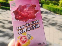 -王府井天主教堂