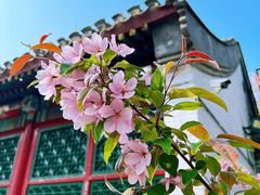 -元大都城垣遗址公园