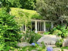 -深圳国际园林花卉博览园