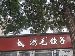 -鸿毛饺子(紫竹桥店)